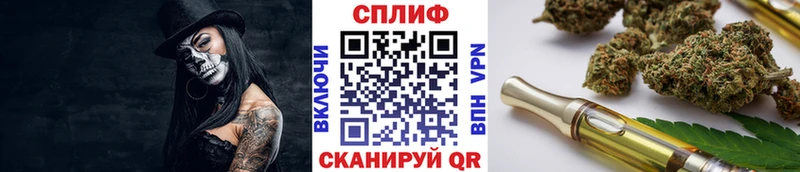 Конопля сатива  Белоусово 